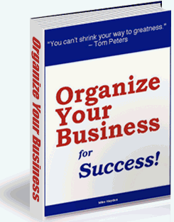 organize your business for success